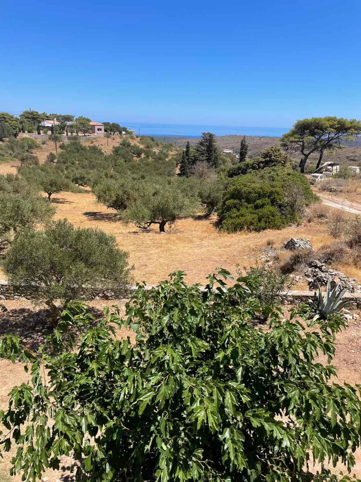 Holiday home Theros House